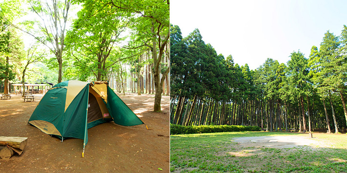 手ぶらでキャンプできる　昭和の森フォレストビレッジ