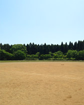 昭和の森公園内　野球場兼サッカー場写真